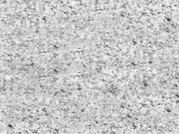 山东白麻为何适合做水景？